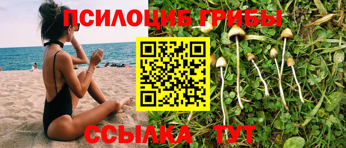 Сафоново  Псилоцибиновые грибы Magic Shrooms  Вход с VPN  Псилоцибиновые грибы Psilocybe 